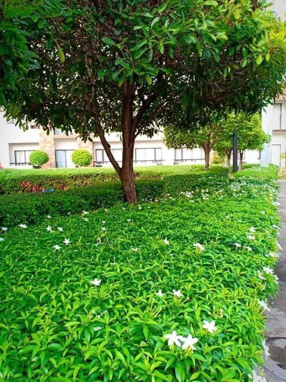 Apartment One Oasis A3 Shortwalk To Sm Mall - Free Wifi Davao